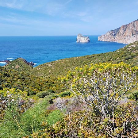 Villa Brezza Marina Nebida Esterno foto