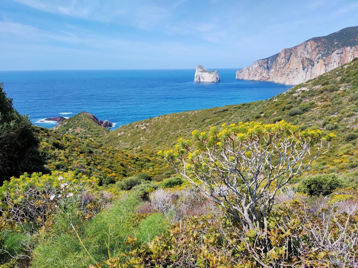 Villa Brezza Marina Nebida Esterno foto