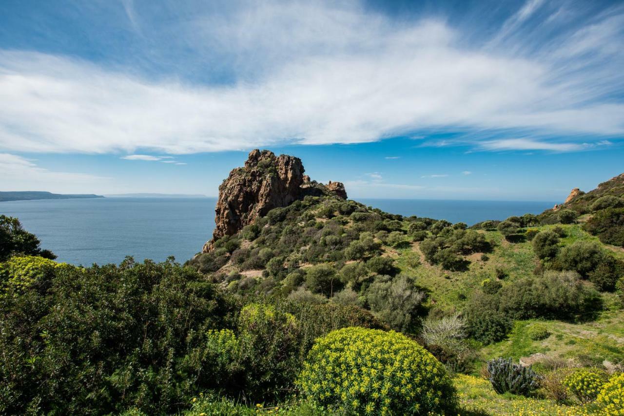 Villa Brezza Marina Nebida Esterno foto