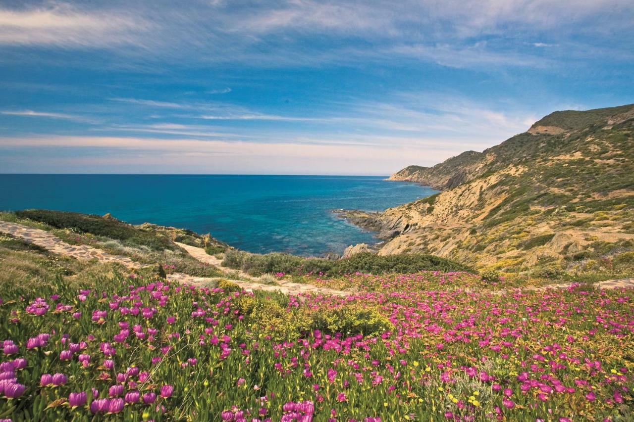 Villa Brezza Marina Nebida Esterno foto